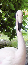 spring 2009